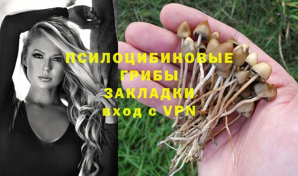 мяу мяу мука Аркадак