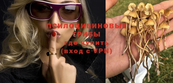 мяу мяу мука Аркадак