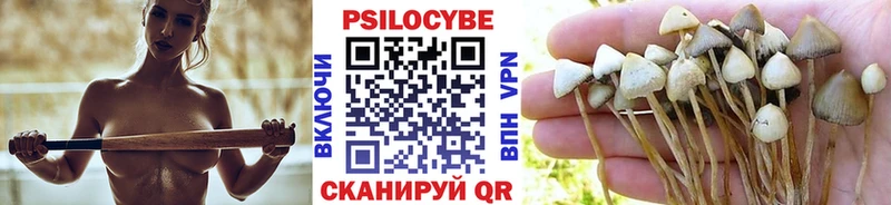 Галлюциногенные грибы Cubensis  Полесск 